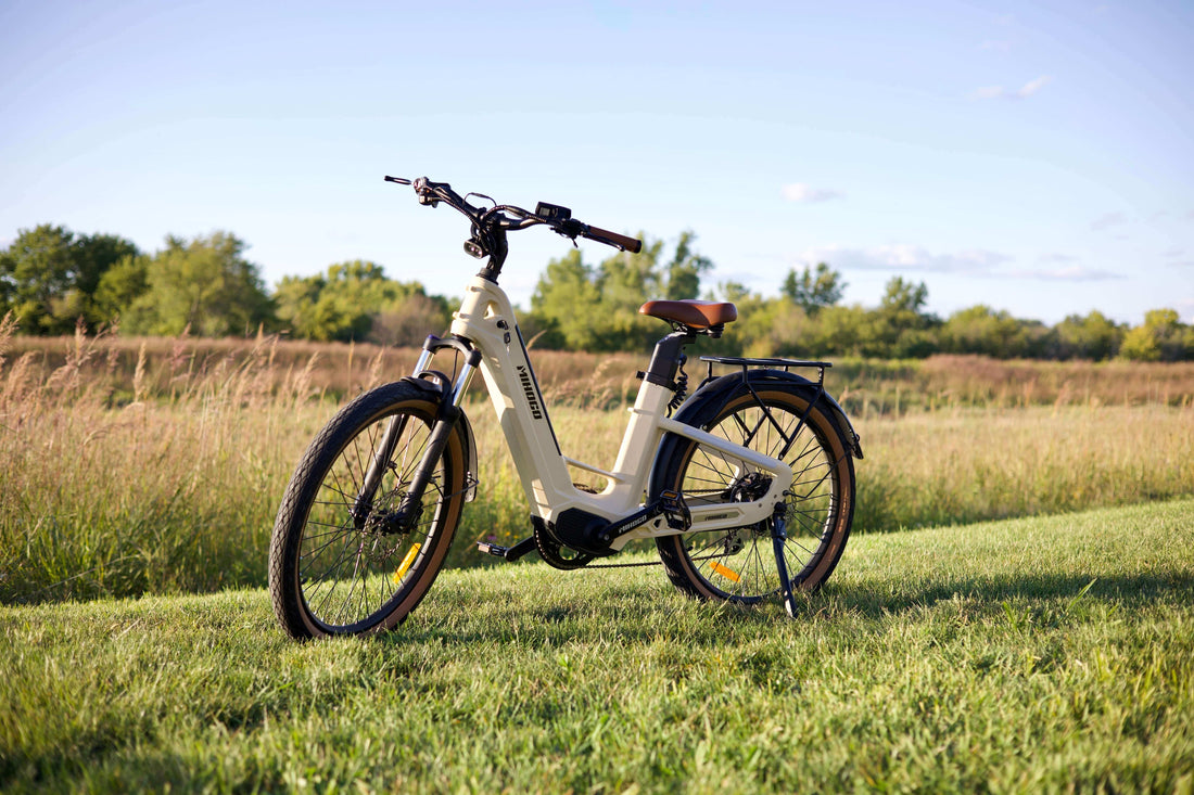 Why E-Bikes Are the Most Economical Transport Choice